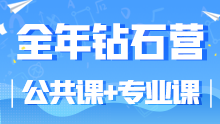 2025考研全年钻石营（公共课+专业课）